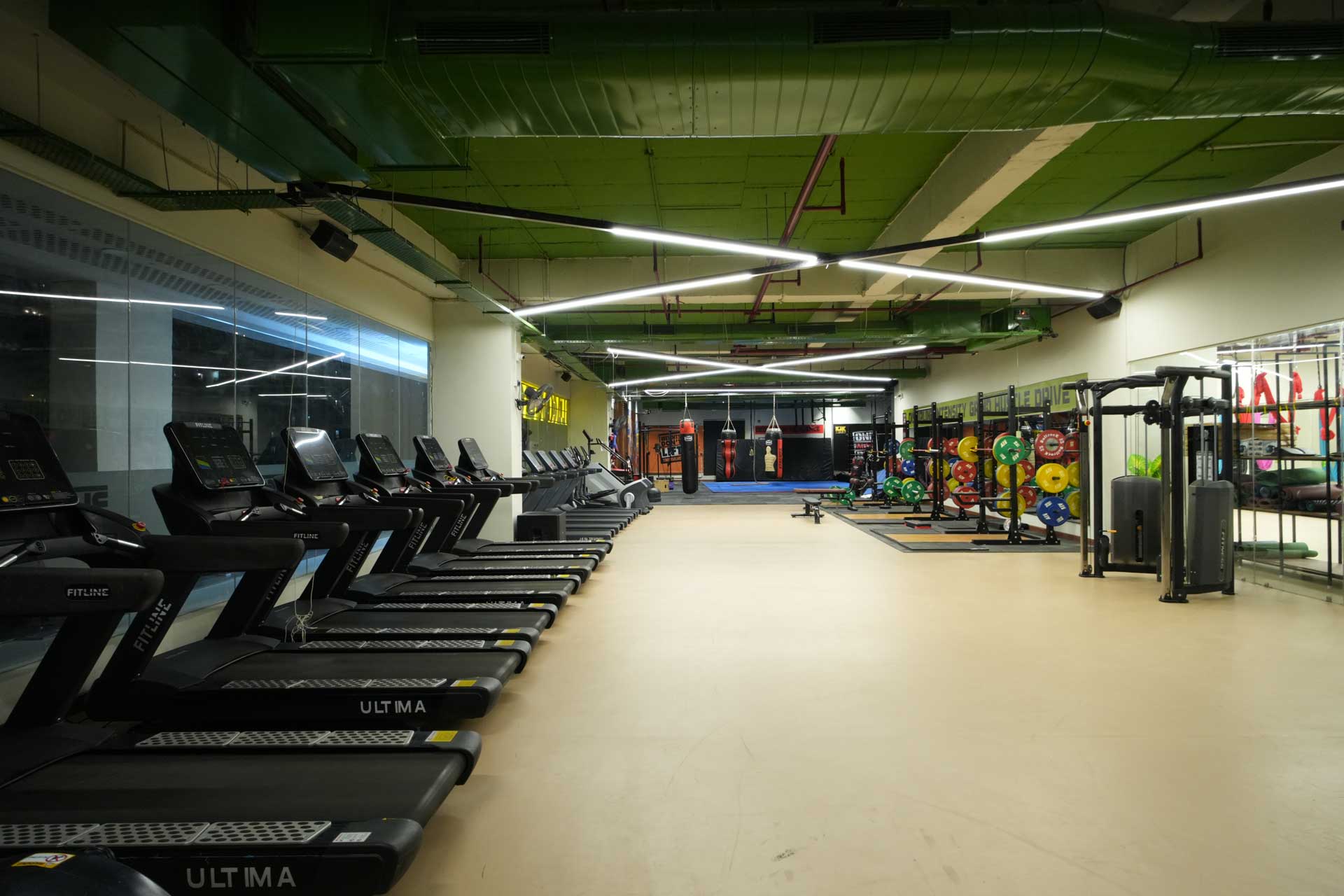 Black Vigor Gym Training Environment